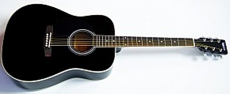 HOMAGE LF-4111-BK Акустическая гитара