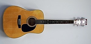 HOMAGE LF-4111- N Акустическая  гитара