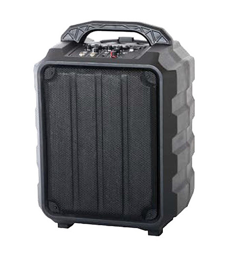 LEEM PR-6 акустическая система, портативная, с аккумулятором, 25Вт